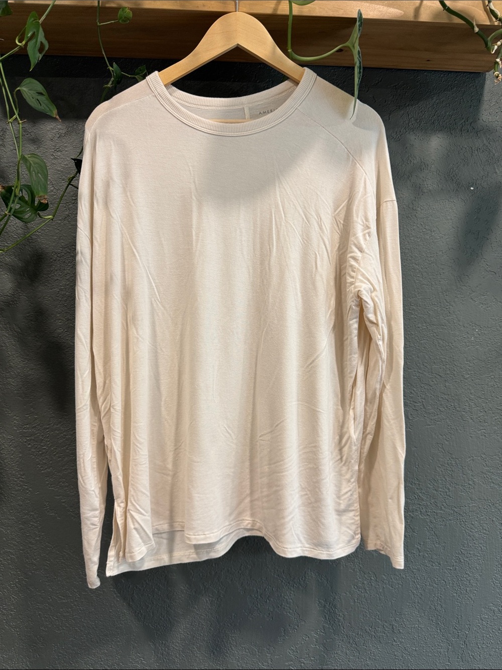 American Eagle Outfitters Soft and Sexy Long-Sleeve Crewneck Shirt — Cream